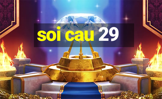 soi cau 29