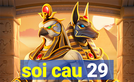 soi cau 29