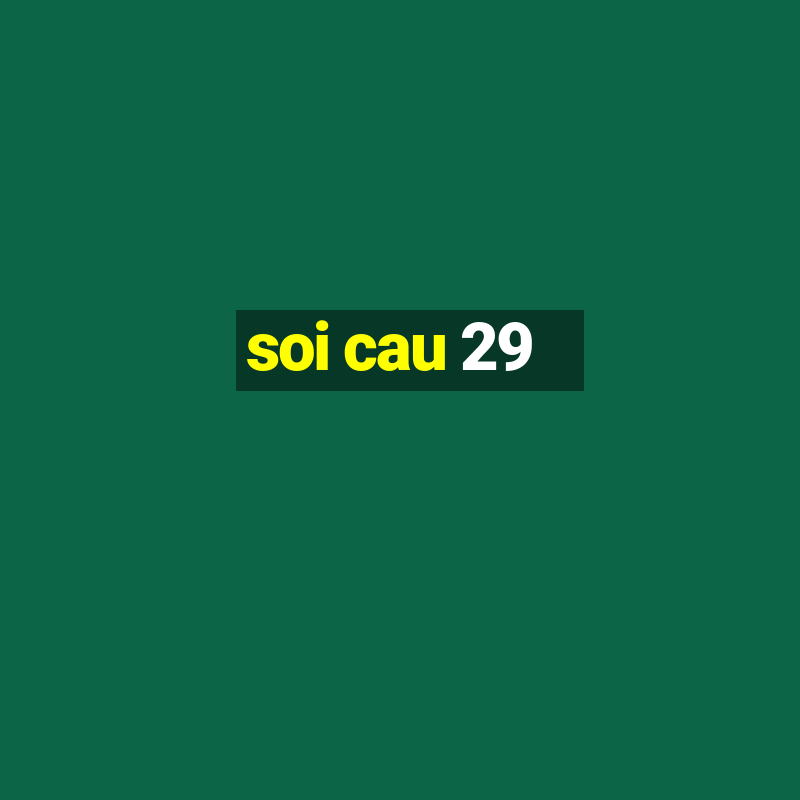 soi cau 29