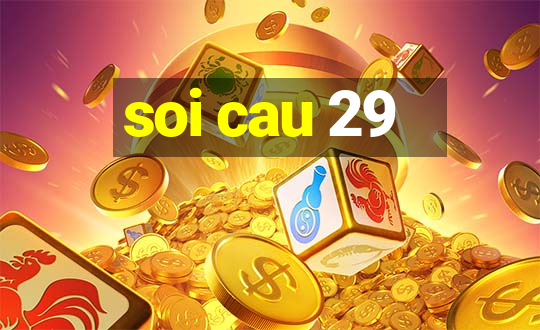 soi cau 29