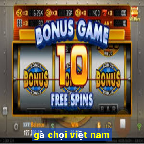 gà chọi việt nam