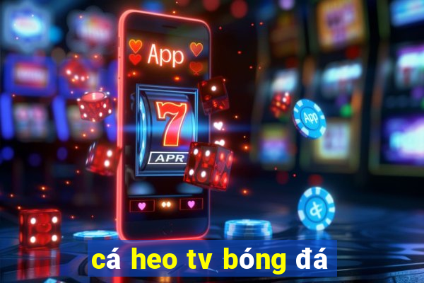 cá heo tv bóng đá