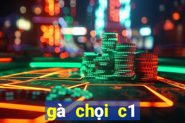 gà chọi c1 đỉnh cao