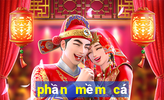 phần mềm cá độ bóng đá