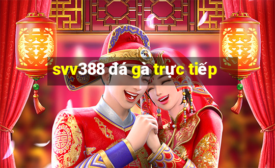 svv388 đá gà trực tiếp