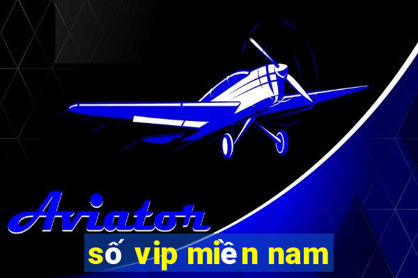 số vip miền nam