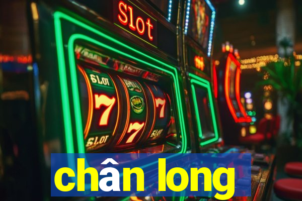 chân long