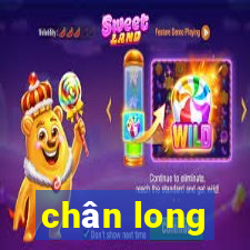 chân long