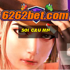 soi cau mn