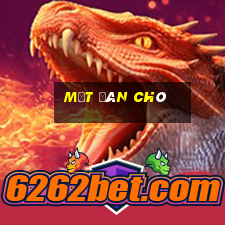 một đàn chó