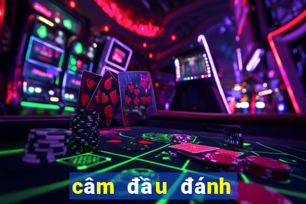 câm đầu đánh con gì