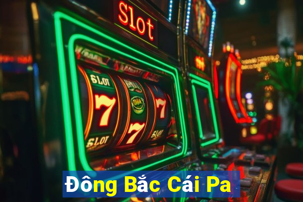 Đông Bắc Cái Pa