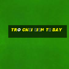 Trò chơi điện tử bay