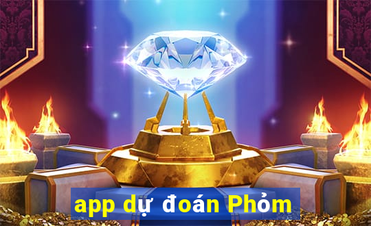 app dự đoán Phỏm