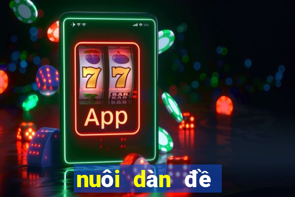 nuôi dàn đề 20 số