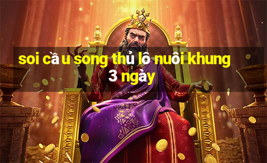 soi cầu song thủ lô nuôi khung 3 ngày