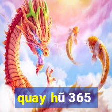 quay hu 365