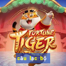 câu lạc bộ bóng đá công an hà nội