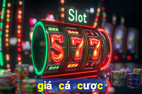 giá cá cược bóng đá hôm nay