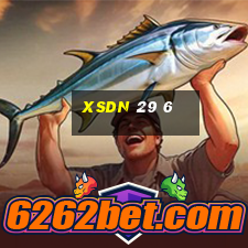 xsdn 29 6