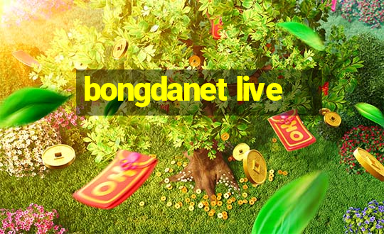 bongdanet live