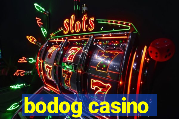 bodog casino