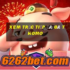 xem trực tiếp đá gà thomo