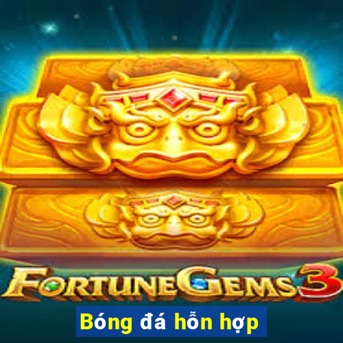 Bóng đá hỗn hợp