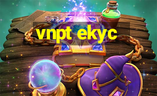 vnpt ekyc