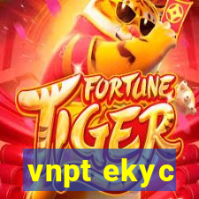 vnpt ekyc