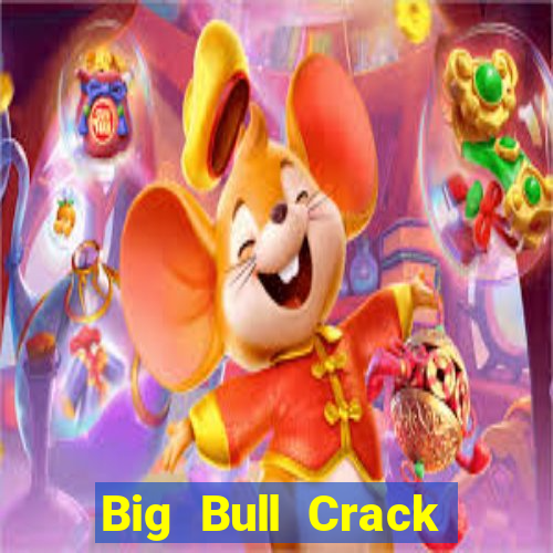 Big Bull Crack Phiên bản