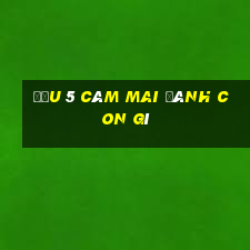 đầu 5 câm mai đánh con gì