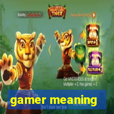 gamer meaning