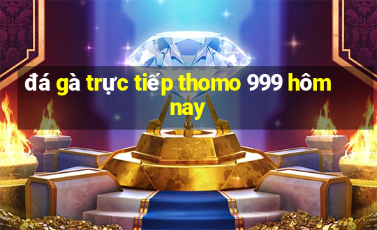 đá gà trực tiếp thomo 999 hôm nay