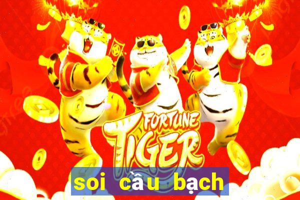 soi cau bach thu 247 com