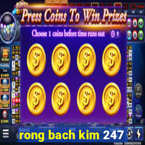 rong bach kim 247