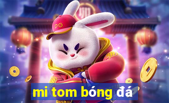 mi tom bóng đá