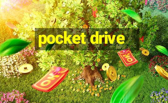 pocket drive