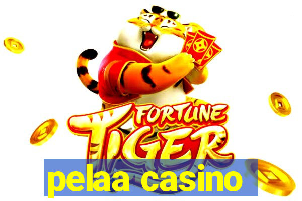 pelaa casino