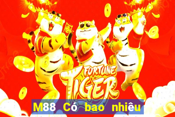 M88 Có bao nhiêu trang web Dory