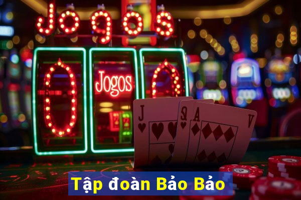 Tập đoàn Bảo Bảo