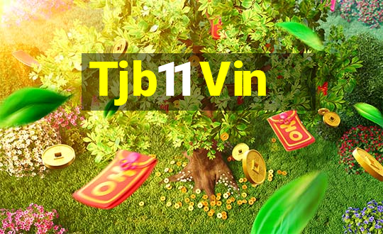 Tjb11 Vin