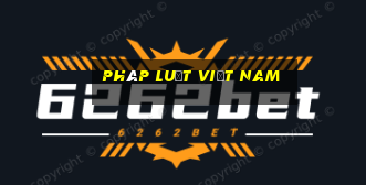 pháp luật việt nam