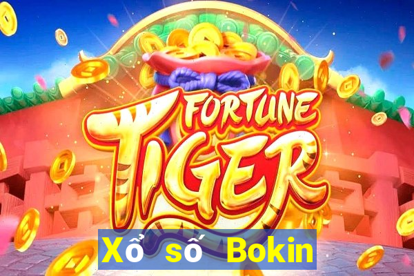 Xổ số Bokin Tải về