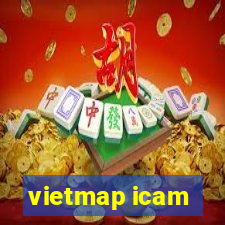 vietmap icam