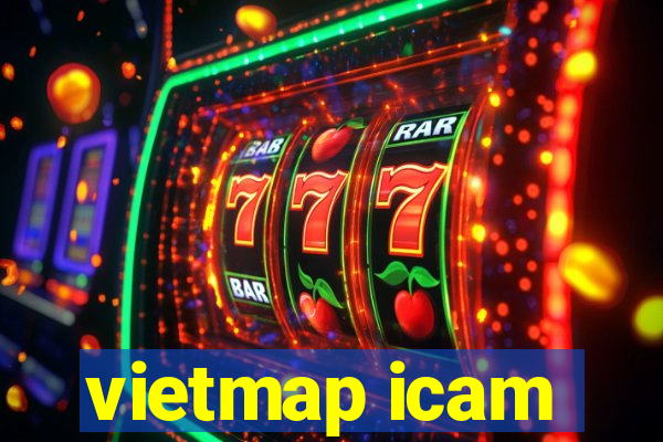 vietmap icam