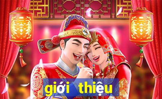 giới thiệu nhạc sĩ bét tô ven