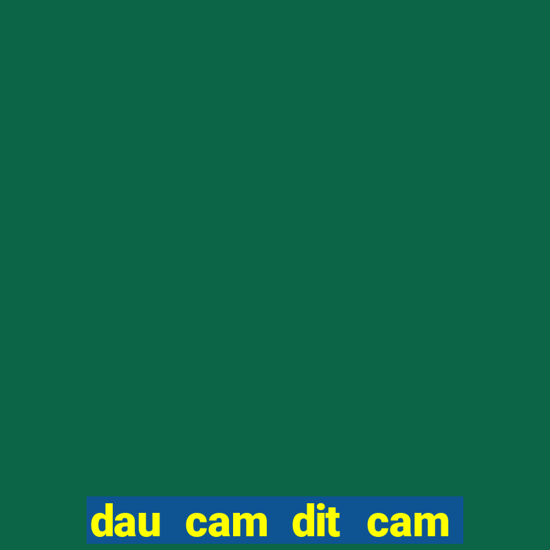 dau cam dit cam danh con gi