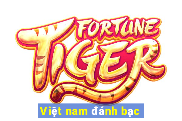 Việt nam đánh bạc