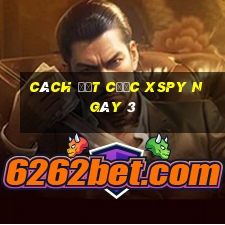 Cách đặt cược XSPY ngày 3